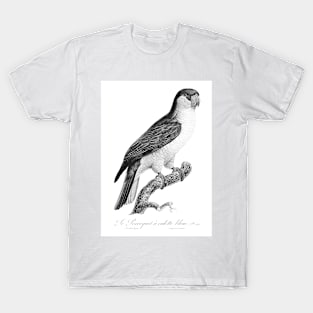 The Black-Lored Parrot in Greyscale T-Shirt